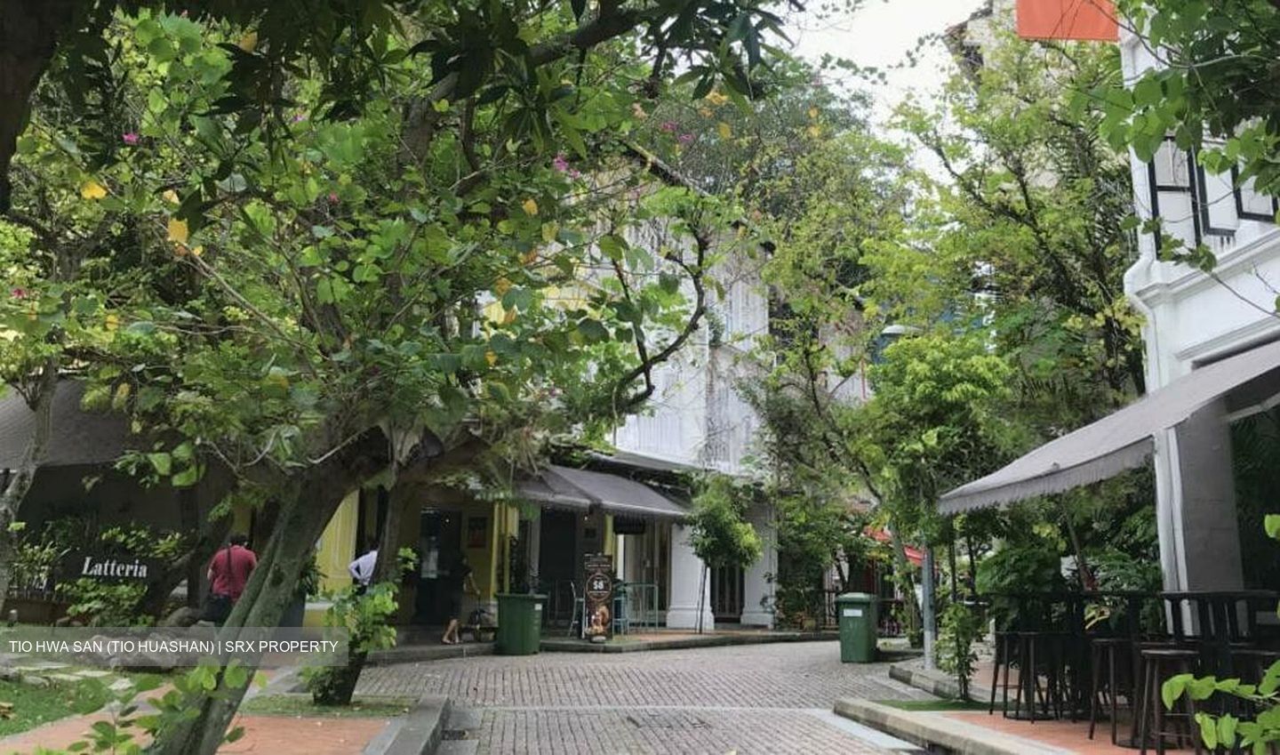 Tanjong Pagar Conservation Area (D2), Shop House #521842131